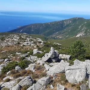 Appartamento Il Pastore Tedesco, Portoferraio